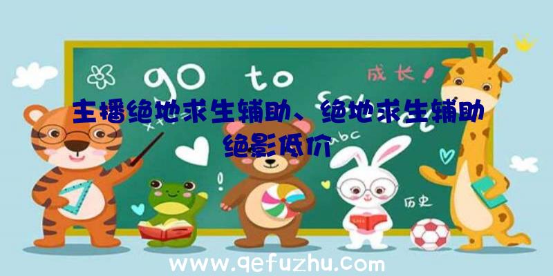 主播绝地求生辅助、绝地求生辅助绝影低价
