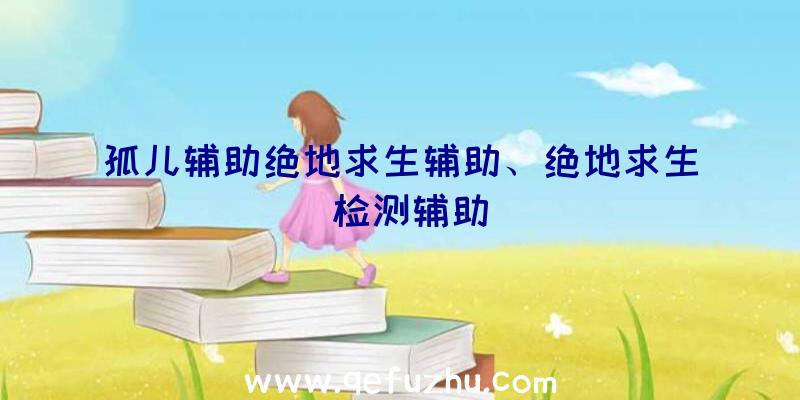 孤儿辅助绝地求生辅助、绝地求生