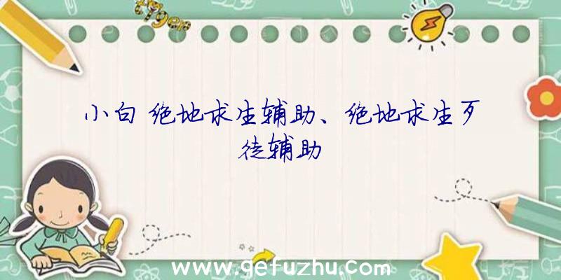 小白+绝地求生辅助、绝地求生歹徒辅助