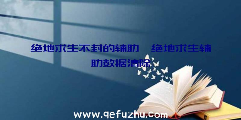 绝地求生不封的辅助、绝地求生辅助数据清除