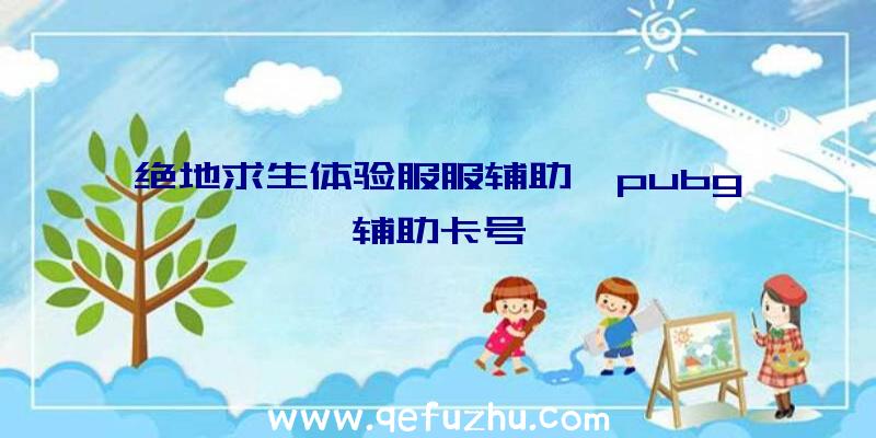 绝地求生体验服服辅助、pubg辅助卡号