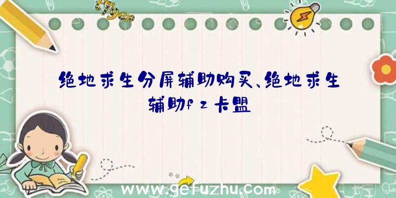 绝地求生分屏辅助购买、绝地求生辅助fz卡盟