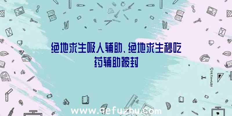 绝地求生吸人辅助、绝地求生秒吃药辅助被封