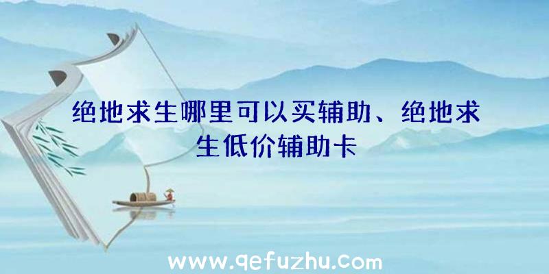 绝地求生哪里可以买辅助、绝地求生低价辅助卡