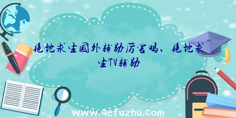 绝地求生国外辅助厉害吗、绝地求生TV辅助