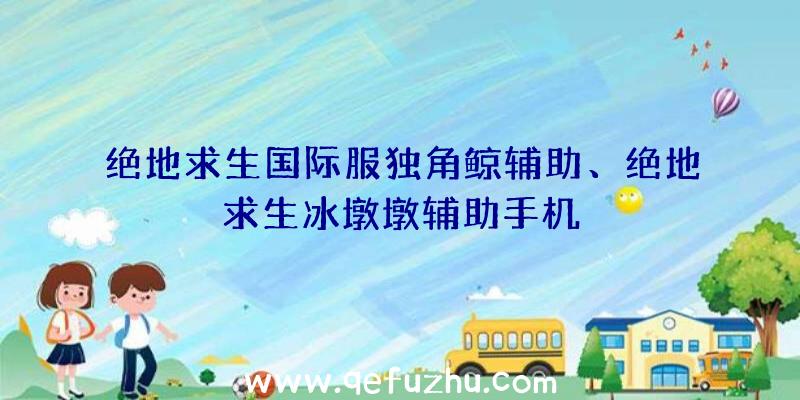 绝地求生国际服独角鲸辅助、绝地求生冰墩墩辅助手机