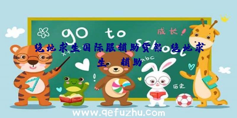 绝地求生国际服辅助货架、绝地求生TV辅助
