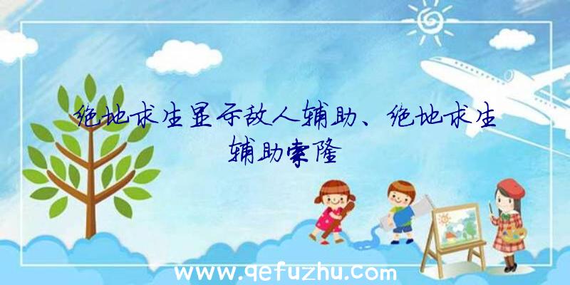 绝地求生显示敌人辅助、绝地求生辅助索隆
