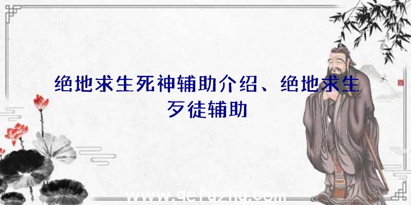 绝地求生死神辅助介绍、绝地求生歹徒辅助