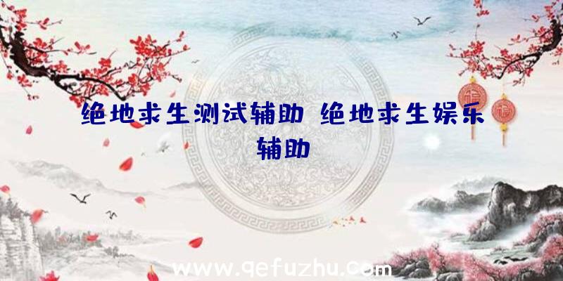 绝地求生测试辅助、绝地求生娱乐辅助