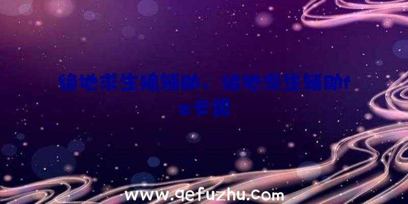 绝地求生狼辅助、绝地求生辅助fz卡盟