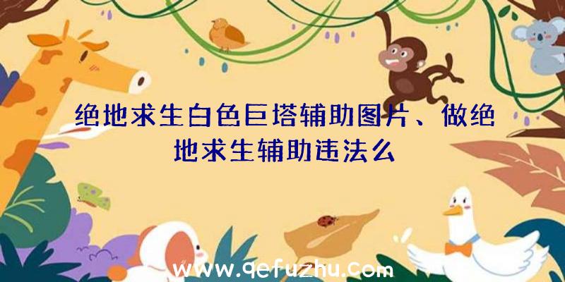 绝地求生白色巨塔辅助图片、做绝地求生辅助违法么