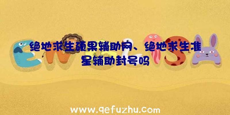 绝地求生硕果辅助网、绝地求生准星辅助封号吗