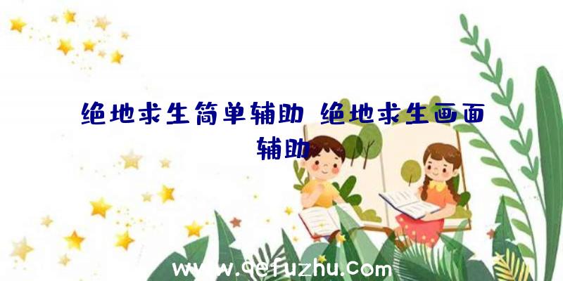 绝地求生简单辅助、绝地求生画面辅助