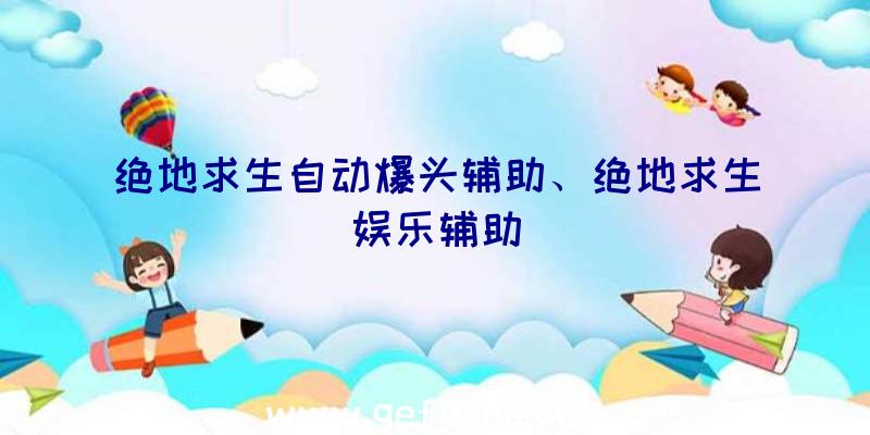 绝地求生自动爆头辅助、绝地求生娱乐辅助