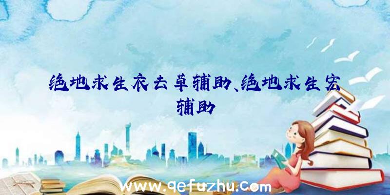 绝地求生衣去草辅助、绝地求生宏辅助