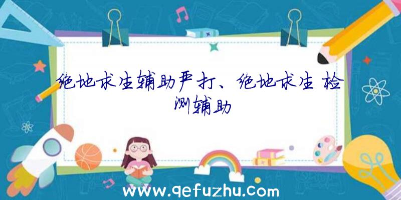 绝地求生辅助严打、绝地求生
