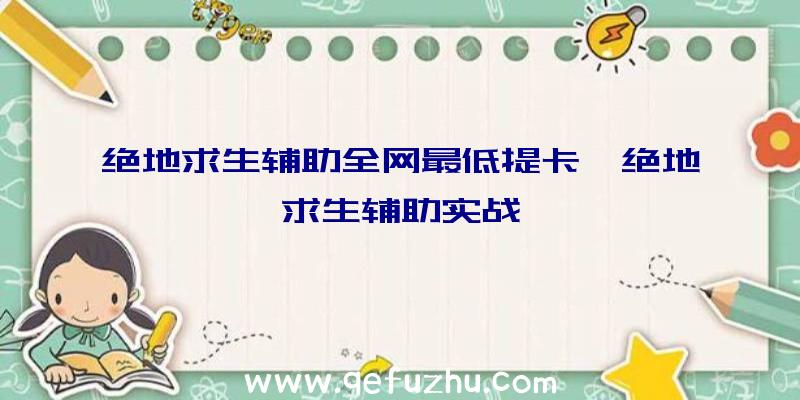 绝地求生辅助全网最低提卡、绝地求生辅助实战
