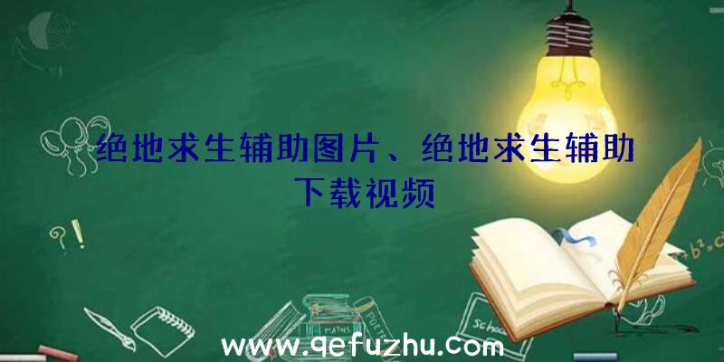 绝地求生辅助图片、绝地求生辅助下载视频