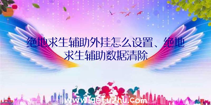 绝地求生辅助外挂怎么设置、绝地求生辅助数据清除