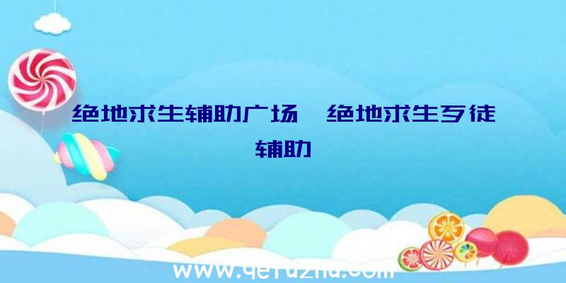 绝地求生辅助广场、绝地求生歹徒辅助