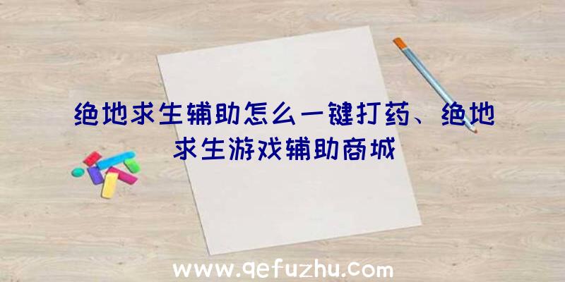 绝地求生辅助怎么一键打药、绝地求生游戏辅助商城
