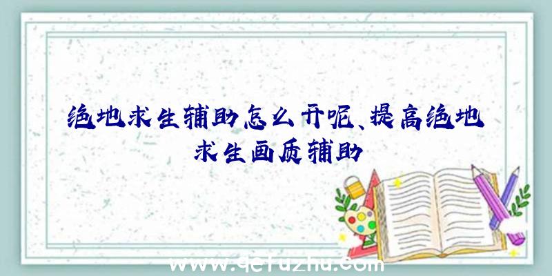 绝地求生辅助怎么开呢、提高绝地求生画质辅助