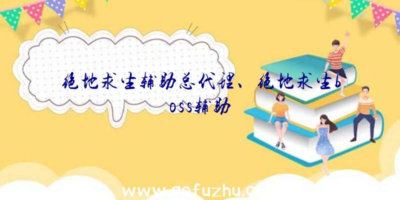 绝地求生辅助总代理、绝地求生boss辅助