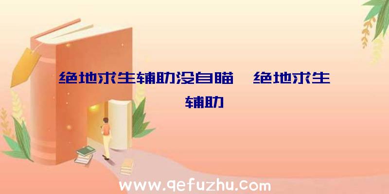 绝地求生辅助没自瞄、绝地求生迪迦辅助