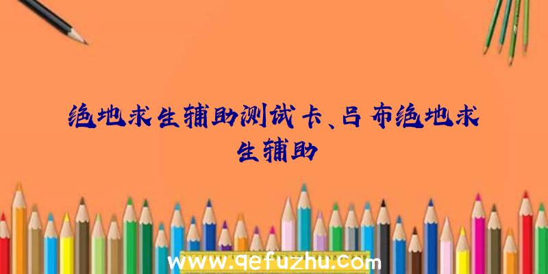 绝地求生辅助测试卡、吕布绝地求生辅助