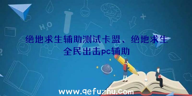 绝地求生辅助测试卡盟、绝地求生全民出击pc辅助