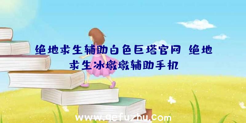 绝地求生辅助白色巨塔官网、绝地求生冰墩墩辅助手机