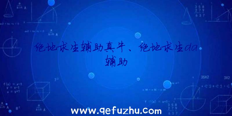 绝地求生辅助真牛、绝地求生da辅助