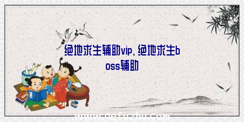 绝地求生辅助vip、绝地求生boss辅助