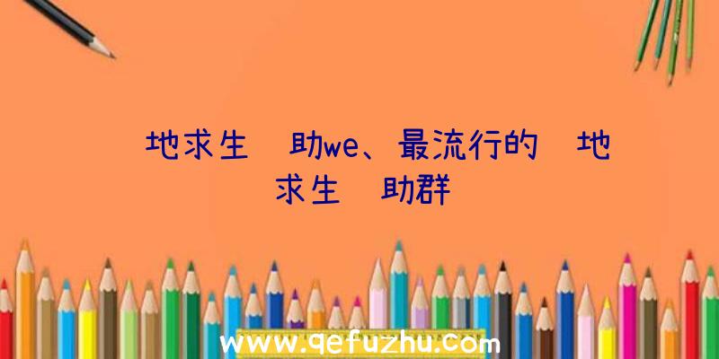 绝地求生辅助we、最流行的绝地求生辅助群