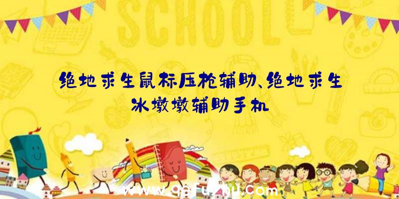 绝地求生鼠标压枪辅助、绝地求生冰墩墩辅助手机