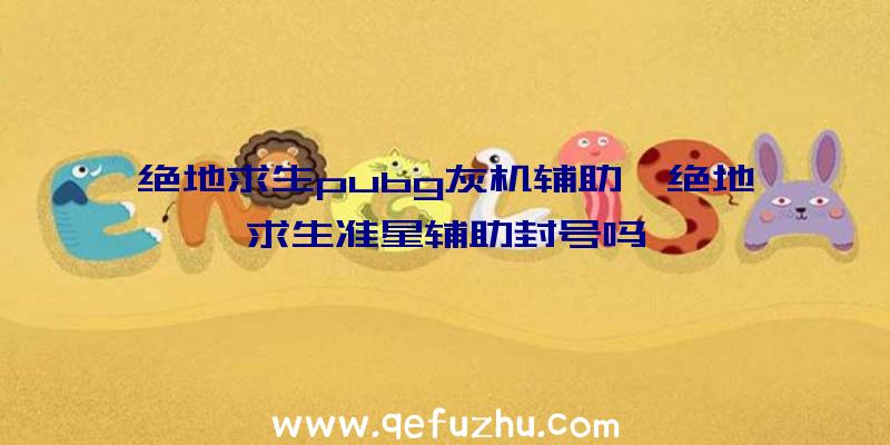 绝地求生pubg灰机辅助、绝地求生准星辅助封号吗