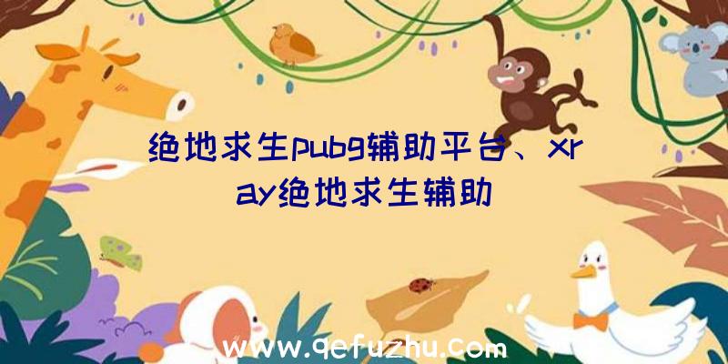 绝地求生pubg辅助平台、xray绝地求生辅助