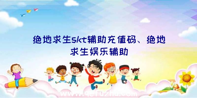 绝地求生skt辅助充值码、绝地求生娱乐辅助
