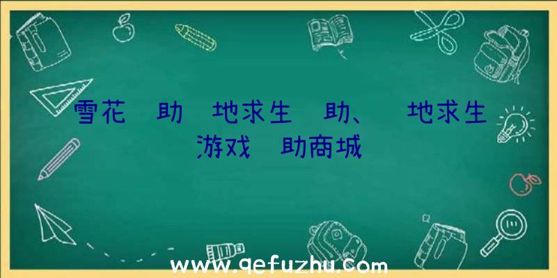 雪花辅助绝地求生辅助、绝地求生游戏辅助商城