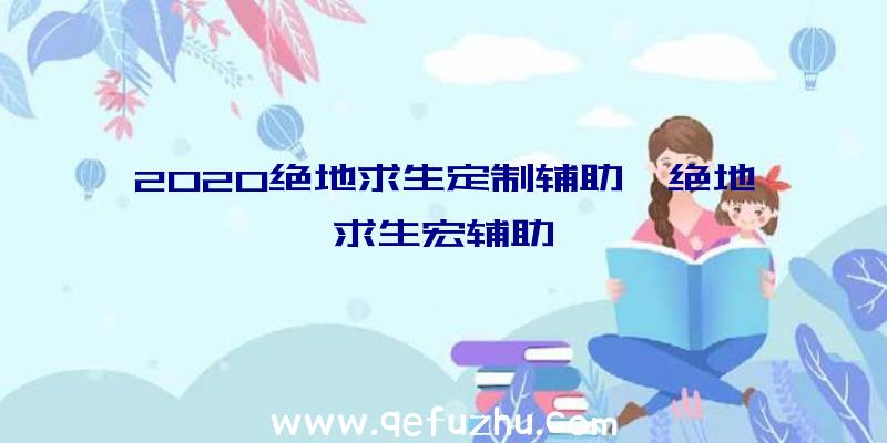 2020绝地求生定制辅助、绝地求生宏辅助