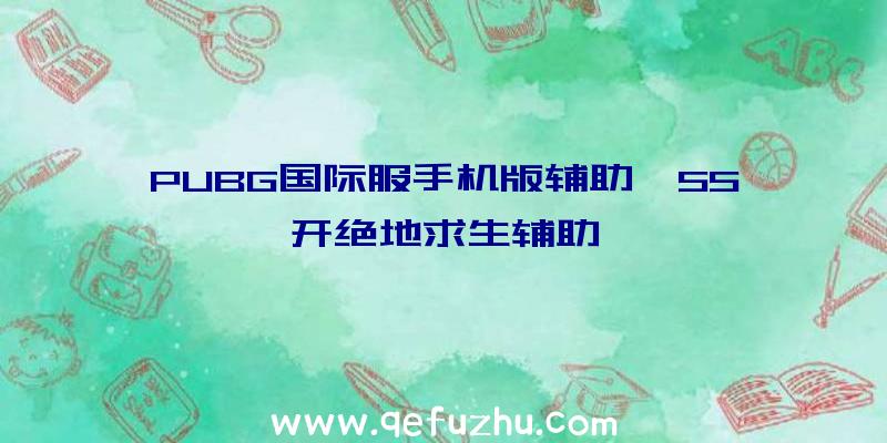 PUBG国际服手机版辅助、55开绝地求生辅助