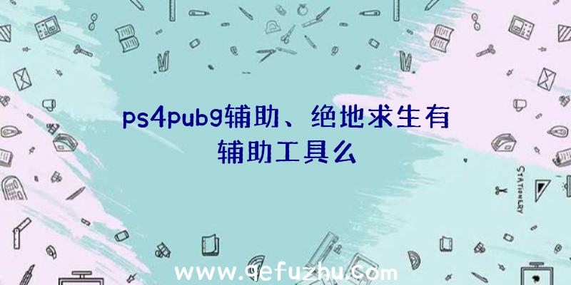 ps4pubg辅助、绝地求生有辅助工具么