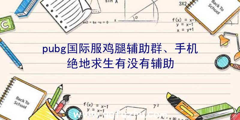 pubg国际服鸡腿辅助群、手机绝地求生有没有辅助