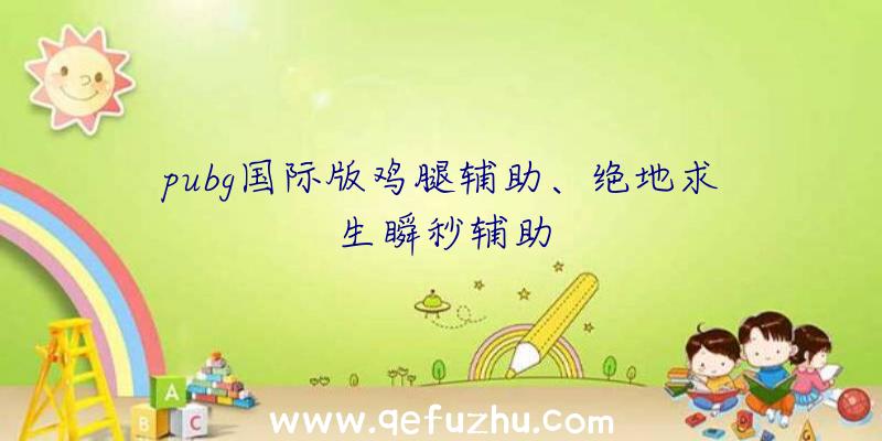 pubg国际版鸡腿辅助、绝地求生瞬秒辅助