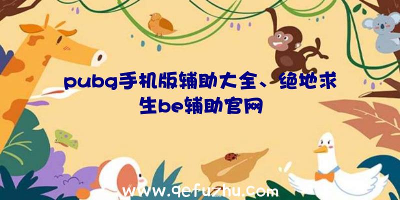 pubg手机版辅助大全、绝地求生be辅助官网
