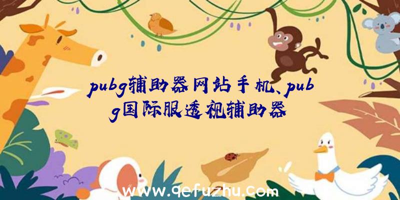 pubg辅助器网站手机、pubg国际服透视辅助器