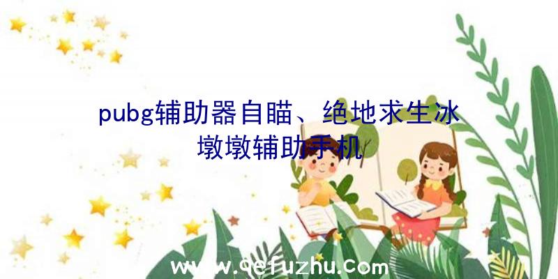 pubg辅助器自瞄、绝地求生冰墩墩辅助手机