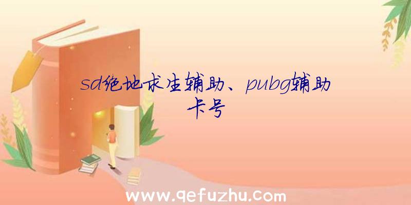 sd绝地求生辅助、pubg辅助卡号