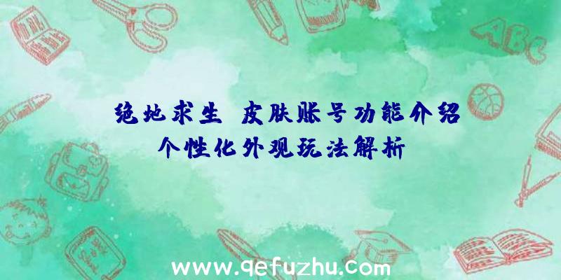 《绝地求生》皮肤账号功能介绍：个性化外观玩法解析！